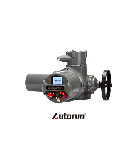 AUM Multi-Turn Electric Actuator
