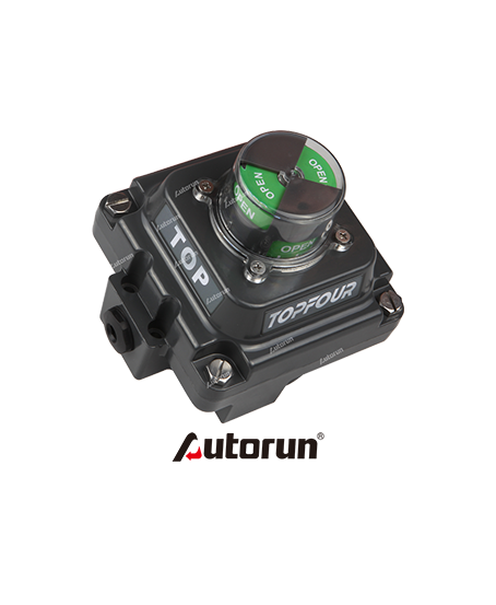 Top500 Limit Switch