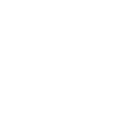 SERVICE STRENGTH