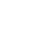 TECHNICAL CONSULTATION