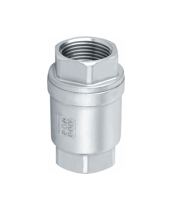 Vertical Check Valve